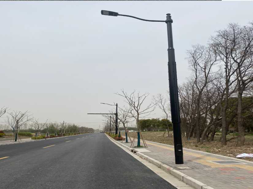 岳池县上海综合杆 太阳能路灯工程